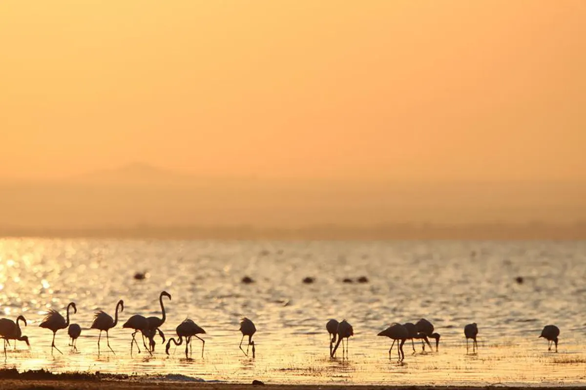 Lake Manyara National Park Tanzania Destination