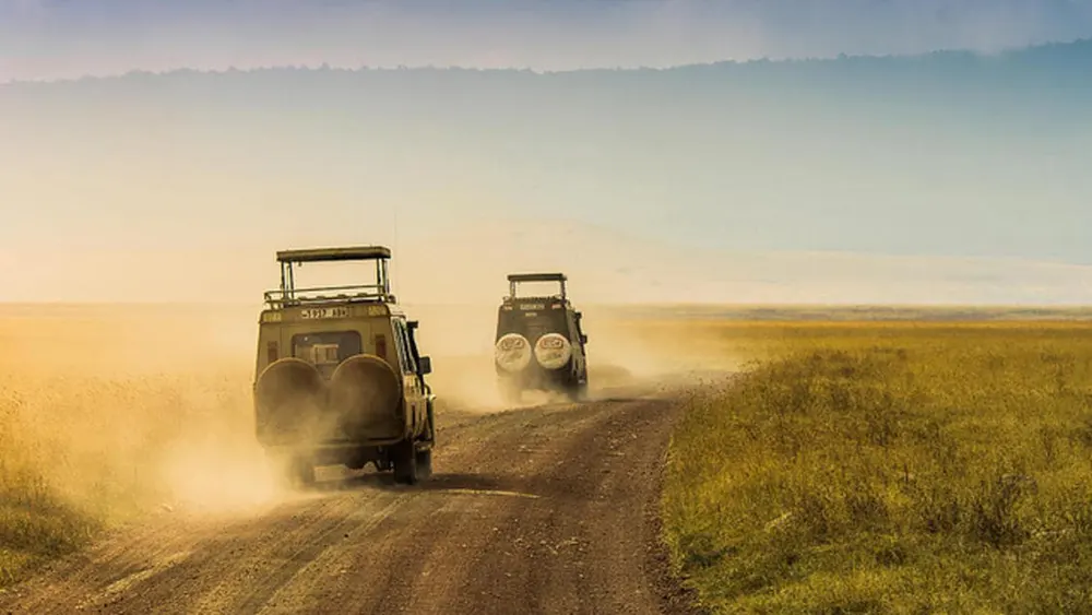 Authentic African Experience